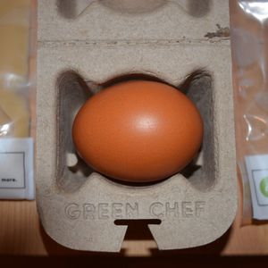 A brown egg sits in a greenchef carton