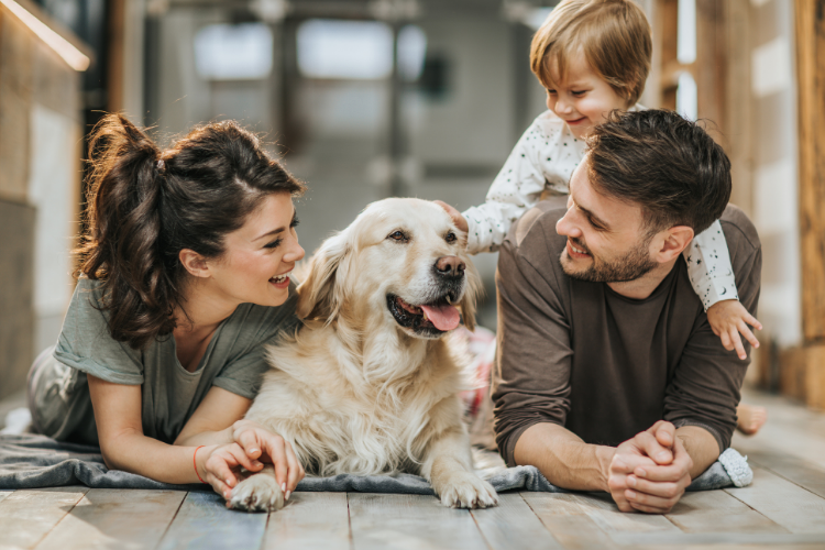 9 Ways to Create a Pet-Friendly Home That Reflects Your Values