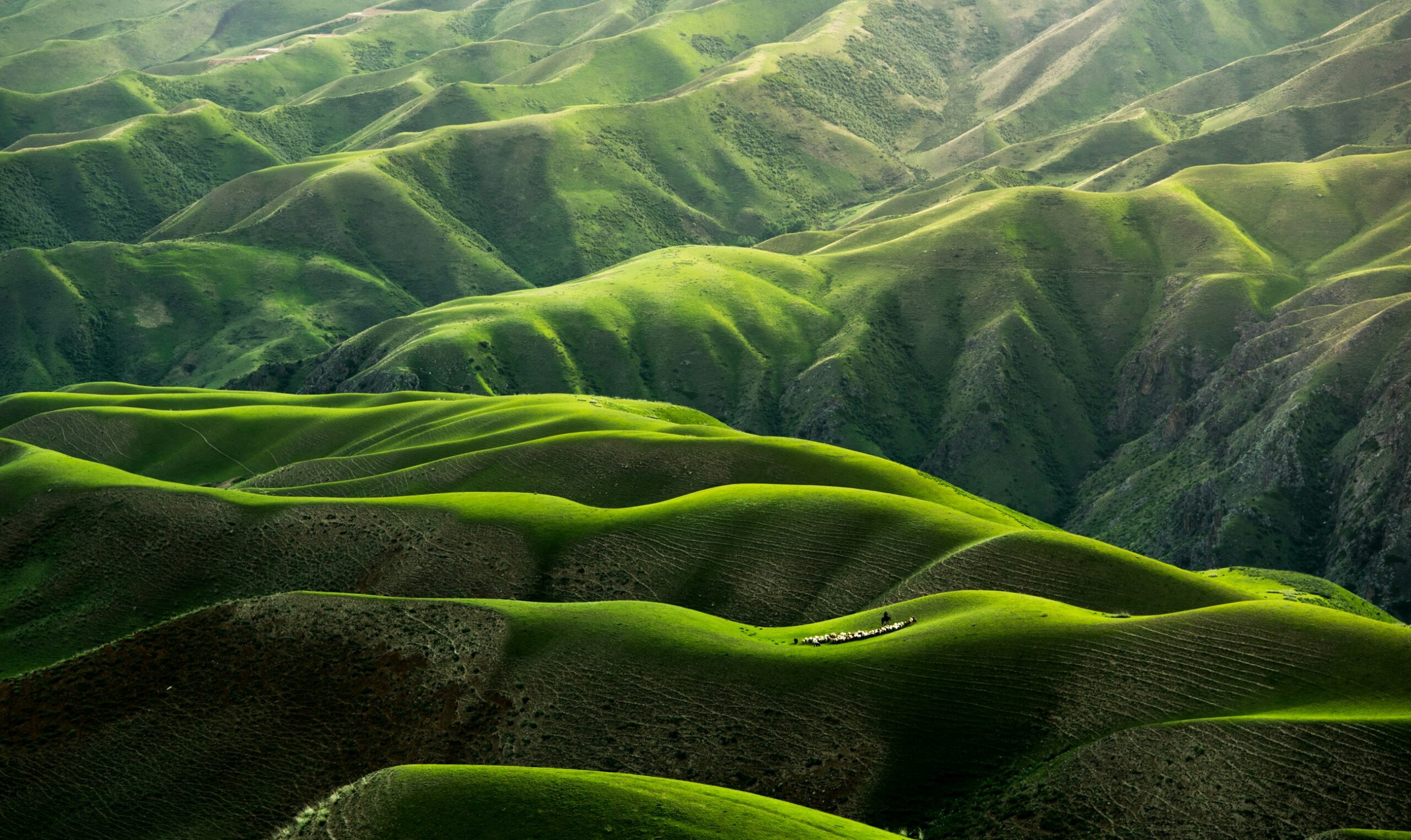 Small Actions For A Greener Life