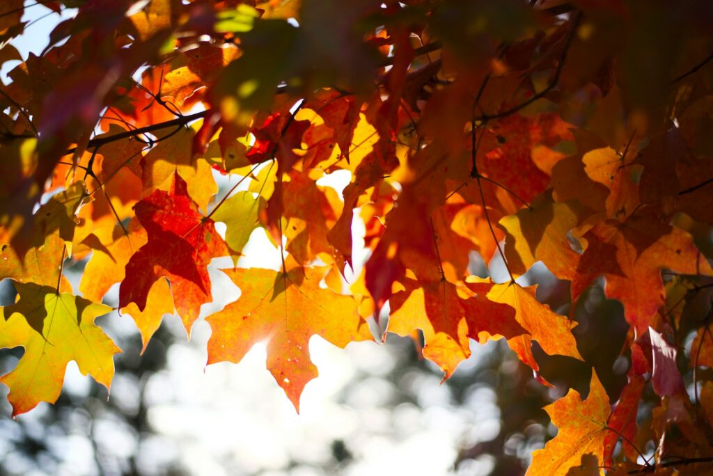 How to Create a Routine That Changes With the Seasons