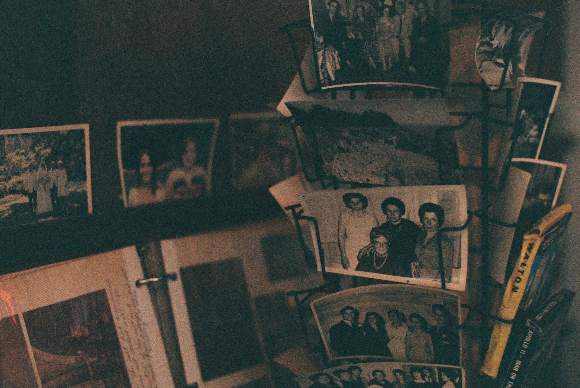 How to Start Your Family Tree: The Easiest Way to Trace Your Roots Online