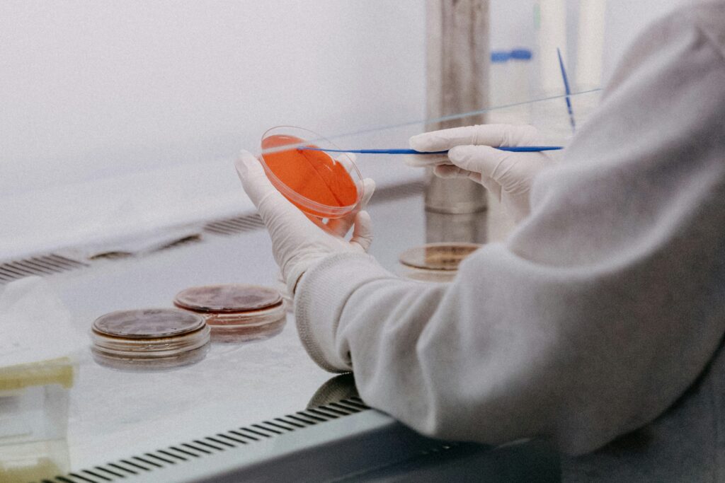 Lipopeptides: Bridging Biology, Chemistry, and Innovation