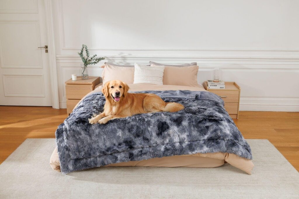 The Comfort Every Pet Deserves: Living Well with Waterproof Pet Blankets