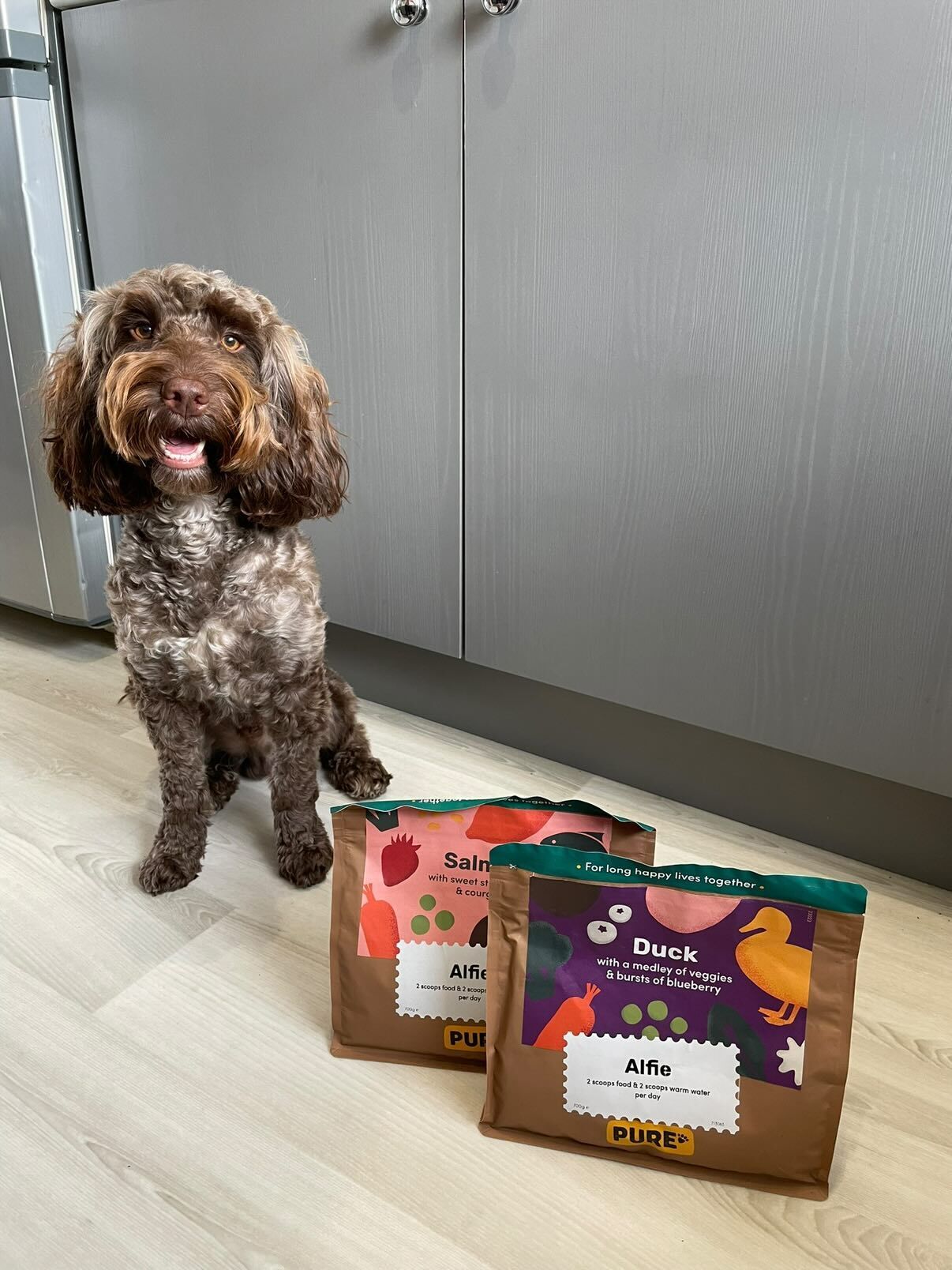 Why Dog Owners Are Raving About Pure Pet Food