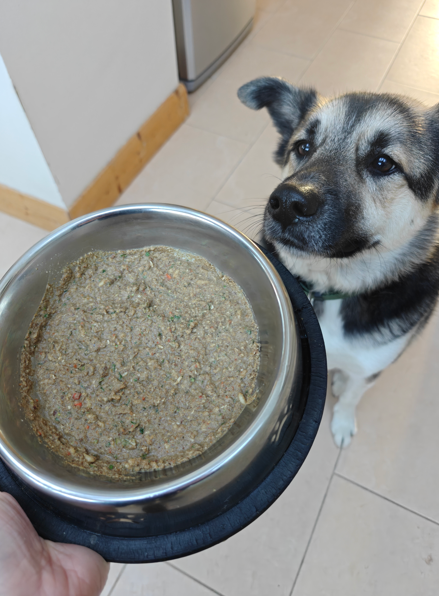 Wij zijn overgeschakeld op Pure Pet Food — Hier zijn de resultaten van onze hond