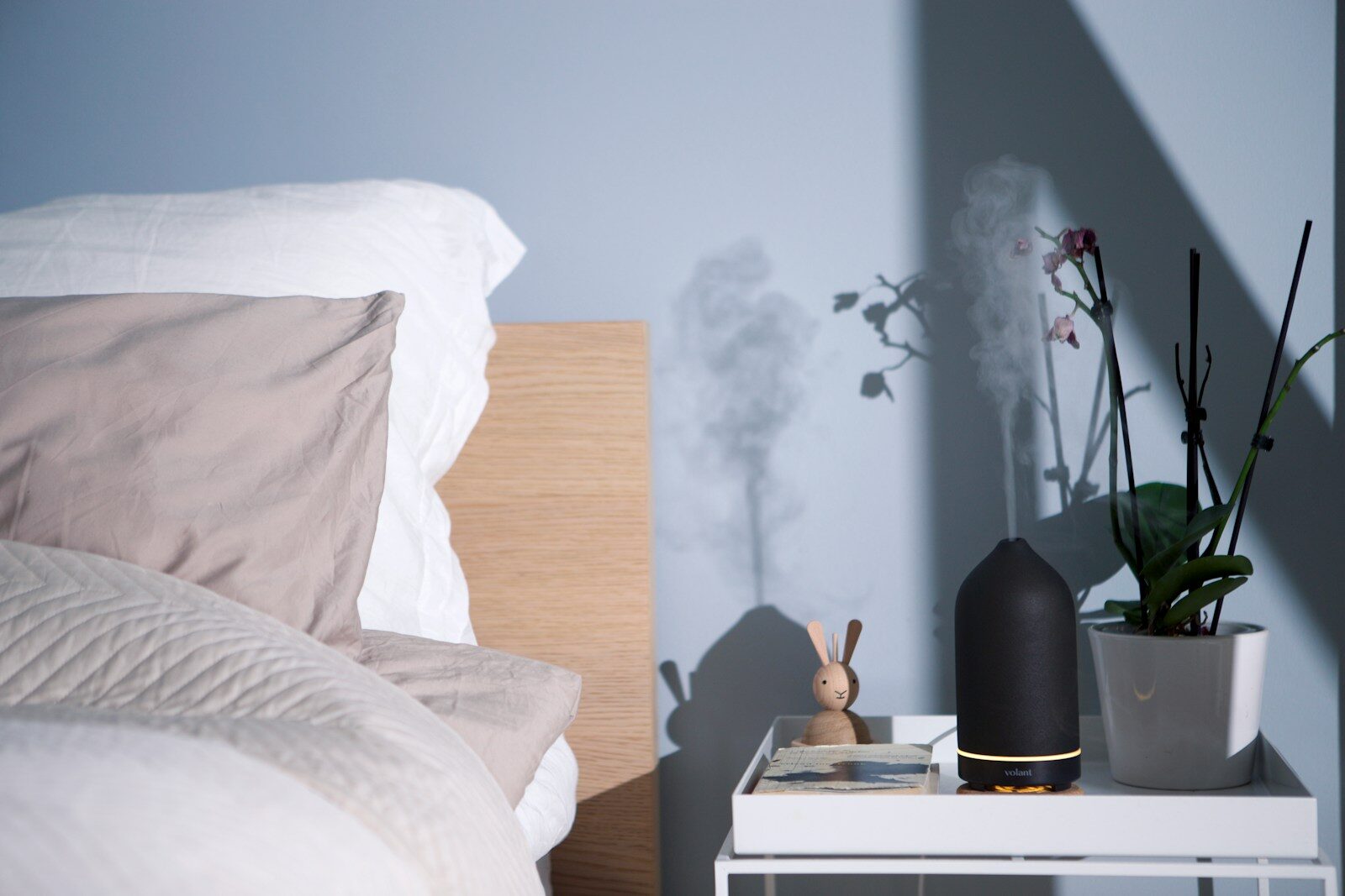 Best Air Purifiers and Humidifiers for Clean, Healthy Indoor Air